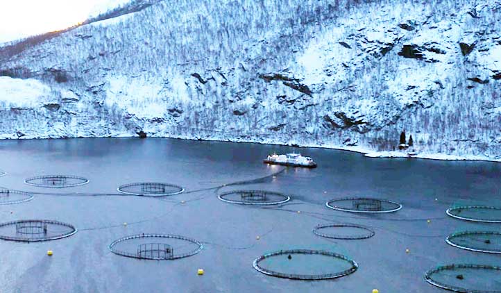 precision-salmon-nutrition-salmon-farm-four