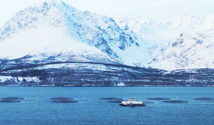 precision-salmon-nutrition-salmon-farm-three