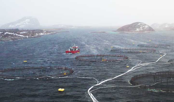 precision-salmon-nutrition-salmon-farm-two