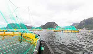 Precision Salmon Nutrition - Ocean photo