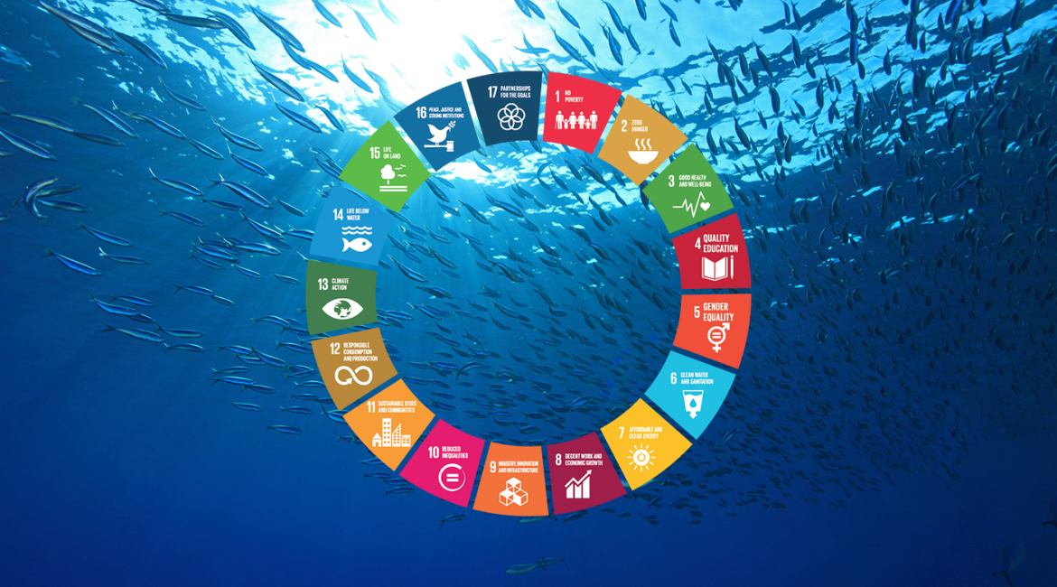 Sustainability reporting now in fully digital format